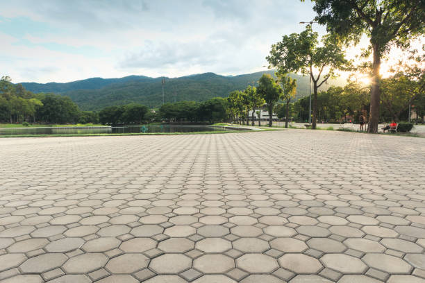 Best Decorative Driveway Pavers  in Alice, TX