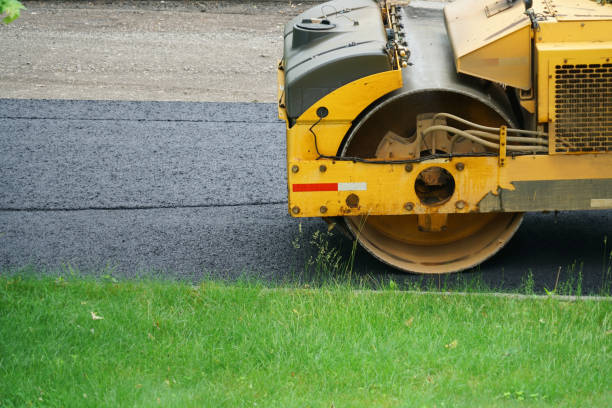 Best Residential Paver Driveway  in Alice, TX